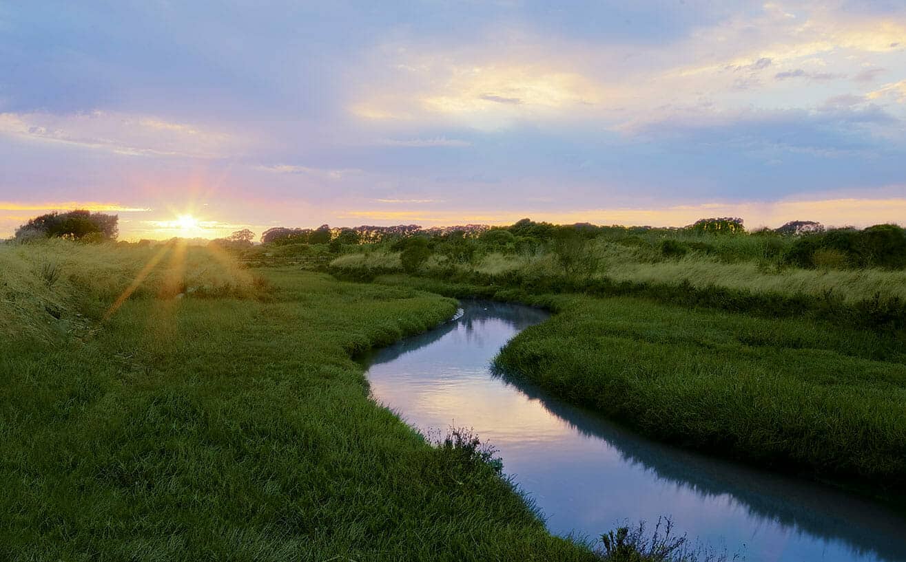 Sunset from off the walking trail in Point Isabel, in Richmond, California