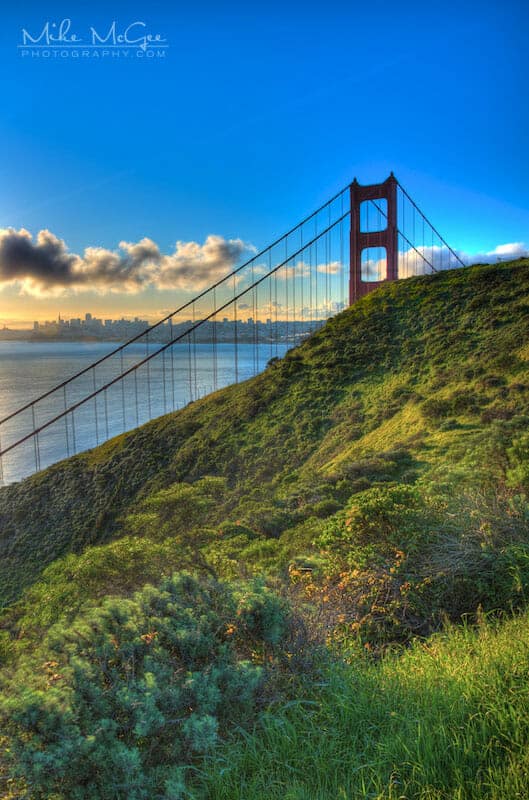 Golden Gate Bridge Grassy Field
